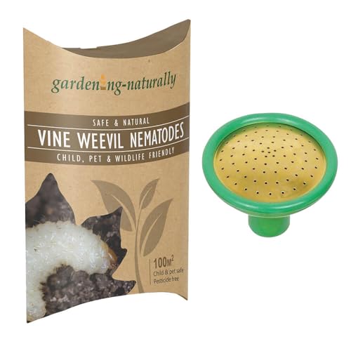 Vine Weevil Nematodes Treats 100 sq.m with Coarse Watering Can Rose