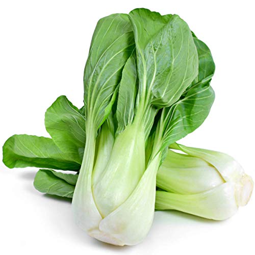 Welldales 50 Giant Pak Choi Seeds Chinese Cabbage White Stem Canton Vegetables