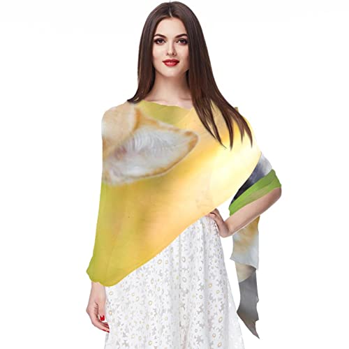 Foulard en mousseline de soie pour femme avec motif labrador noir et multicolore 19