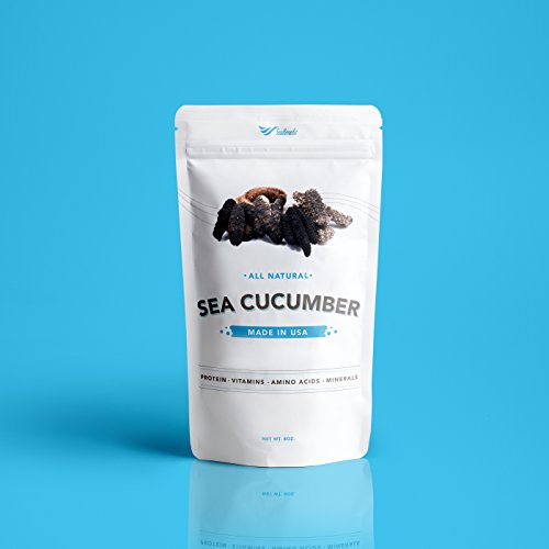 SB Organics Alaskan Red Medium - Wild Caught Sea Cucumber Dried All Natural Nutritious - 8 oz.
