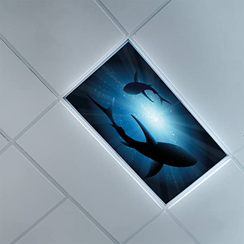 Lorougei Fluorescent Light Cover Decorative Ceiling Light Filters,Shark Pattern,for Classroom Office Hospitals Home Ceiling Decorative,2ft x 4ft,Dark Blue
