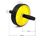 Virtual World Perfect Dual Wheel Total Body Exerciser Trimmer 4 in 1 Solid Body Fitness Workout - Ab Roller Ab Wheel Abdominal Workout Roller For Ab Exercises. Cushioned Handles Weight Loss Kit for Men & Women (Random Color As per Stock) gallery image