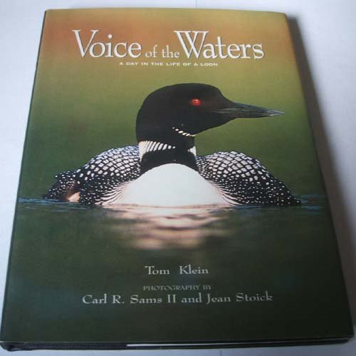 Voice of the Waters: A Day in the Life of a Loon: Klein, Tom, Sams ...
