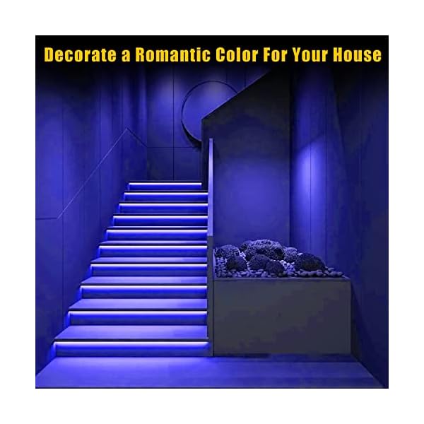 Ym e-bright led neon lights, 12v led neon rope light indoor outdoor, silicone 16. 4ft 600smd green led strip lights, led rope waterproof flexible for signboard bar home building decoration - image 7