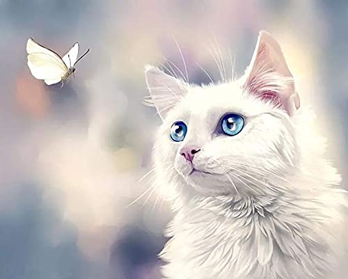 Yeerum DIY 5D Diamond Painting Papillon Chat Complet Accessoires, Animal Insecte Broderie Peinture Diamant Painting Kit Complet Point De Croix Cristal Strass Décoration De La Maison 30x40 cm Cover