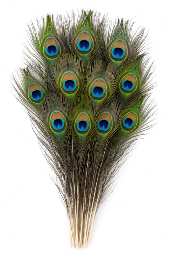 Best Janmashtami Decorations from Amazon India 31 Natural Peacock Feathers (Pack of 10) | Original Real Mor Pankh T...