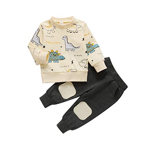 Newborn Baby Boy Clothes Set Kids Long Sleeve Cartoon Animal Striped Shirt Tops+Long Pants 2Pcs Outfits Tacksuit (Dinosaur Beige, 18-24 Months)