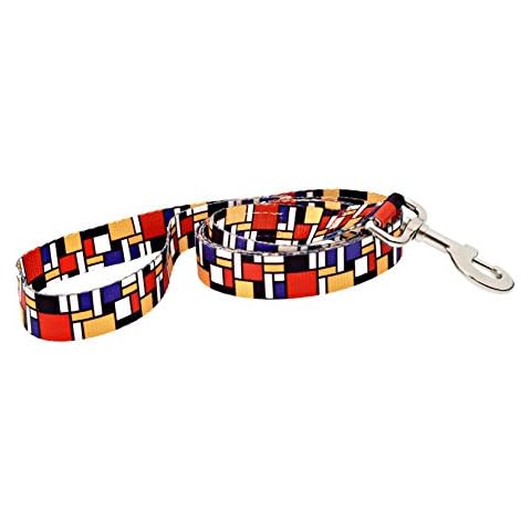 Dutch Dog Amsterdam Eco Friendly Mondrian Fashion Dog Leash, 5-Feet Cover