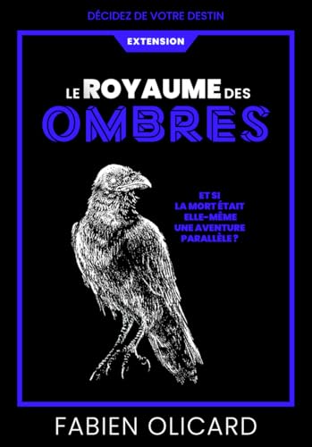 Le Royaume des Ombres - Extension - Décidez de votre destin - La Saga de Dagda - Fabien Olicard - livre jeu
