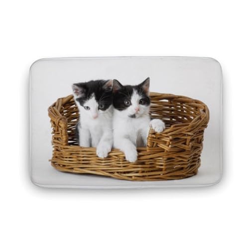 L   oX}bg z/唻 փ}bg  O   \ ~ Aj LN^[ @}bg   ʏ