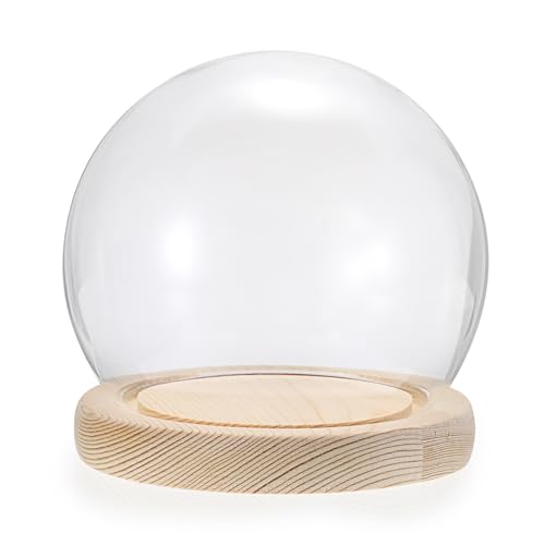 SUMNACON Glass Globe Display Cloche Dome with Solid Wooden Base, Decorative Clear Global Display Bell Jar Glass Cover Dome Cloche Showcase for Plant, Collection, Toy, Crystal