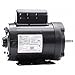 LEESON B586 Farm Duty Motor,115/208-230V AC