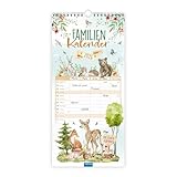 TRÖTSCH - Familienkalender "Waldfreunde 2026" : Wandkalender Familienterminer | 5 Spalten