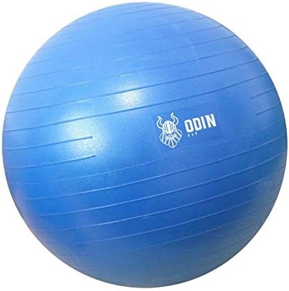 Bola de Ginástica Suíça 55cm - Azul