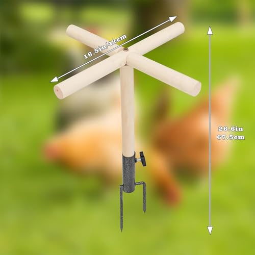 Jouet de divertissement pour perroquets et perchoir de poulet stable