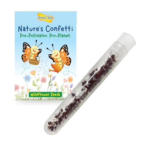Insect Lore 25 Western Harvester Ants - Refill for Ant Habitat Science Kit - Native Live Ants - Includes Wildflower Seeds