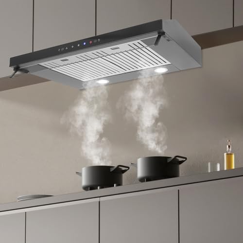 29.5x 19.5" Range Hood, 900CFM Dual 100W Motors Stainless Steel Under Cabinet Range Hoods, Slim Kitchen Vent Hood with 3 Speed Controls, 4500K LED Lights, Touch Control/Gesture Sensing