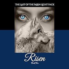 Couverture de Risen