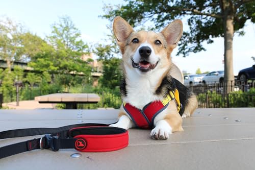Image of Gooby Escape Free Sport Leash, Lime, 4 FT | Neoprene, all-weather; 4 ft; Detachable handle with quick-release buckle; Machine washable; Matches Sport Harness
