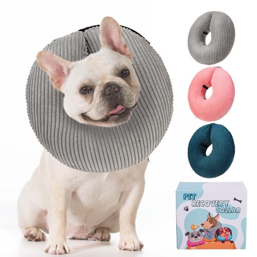 Image of BINGPET Inflatable Dog Cone Collar Alternative After Surgery,Soft Recovery Cone for Dogs to Stop Licking,Dog Blow up Protective Neck Donut ECollars Adjustable for Large Medium Small Pet,Upgrade M Grey