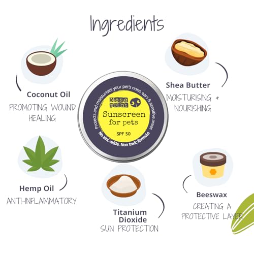 Noseprint LSF 50 Sonnenschutzbalsam für Hunde und Katzen 60 ml, feuchtigkeitsspendender Hundenasen- und Pfotenbalsam
