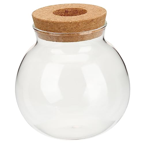 Mipcase Idroponico Per Terrario Decorativo Per e Casa Design Per Fioriere e Idrocolture