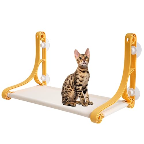 Lifetips xK Lp zՎnbN ӃLbgxbh ݂艺 ω׏d10kg ^LΉ ͋z Œ ȃXy[X p ܂肽 􂦂 gȒP  nbN pxbh zՃxbh T[ ڂ