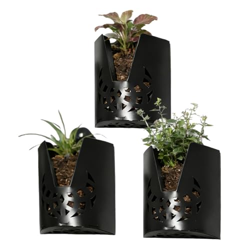 Sionhiuo Soporte de Pared para Plantas,Decoración de Pared para el hogar,Cesta plantadora de 3 Piezas para Helecho Cuerno de Alce - para Patio, Porche, Dormitorio, Salón, Baño, Balcón, Orquídeas y