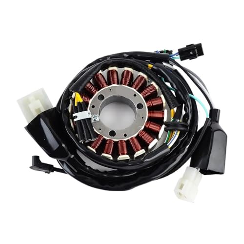 Bobine de stator KLX250S idéale pour les longues randonnées tout-terrain