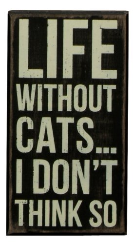 Primitives by Kathy Box Sign, 4 by 7.5-Inch, Life Without Cats