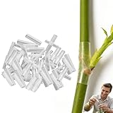 200 fundas de silicona para injerto para árboles frutales, tubos flexibles y duraderos de 3 a 7,5 mm, promueve la curación del tronco de árbol y ramas de plantas, mangas protectoras para envolver