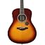 Brown Sunburst