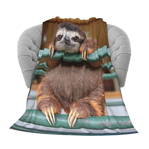 Delerain Flannel Blanket Cute 3D Sloth Lightweight Cozy Bed Blanket Soft Throw Blanket Fits Couch Sofa Suitable For All Season 60"X80" For Kids Women Men #TOP3