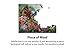 Springbok's 500 Piece Jigsaw Puzzle Morning Serenade - Made in USA