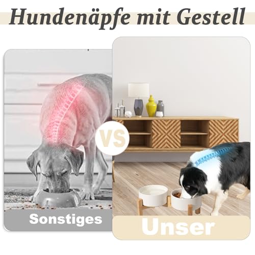 Cnwinu Hunde Napfset, Hundenapf Erhöht mit 15,5 cm Ständer, Hundenapf Keramik, Futternapf Hund für Kleine und Mittelgroße Hunde, Futterstation, Fressnapf Hund und Wassernapf, 2 x 850 ml (Grau)
