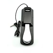 Piano type sustain pedal Classic design Compatible with all electronic keyboards 6' cable, synth, digital piano with 1/4 jack Built around a heavy-duty mechanism With rubber-coated shell and chrome foot pedal lip-resistant rubber bottom grips the flo...