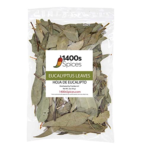 2oz Dried Eucalyptus Leaves, Hojas de Eucalipto Seca, Eucalyptus Leaf Tea by 1400s Spices