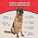 Animal Essentials Sea-Cal - Pure Seaweed Calcium Powder for Dogs with Magnesium, Joint Supplement for Dogs & Cats for Healthy Bones & Teeth, Joint Health, Vegan Icelandic Seaweed Calcium - 12 oz