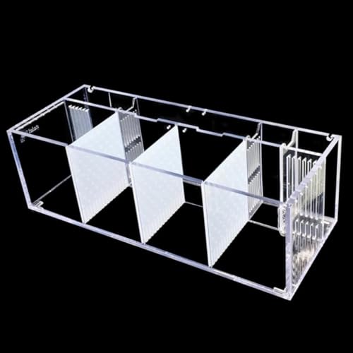 SLLS AN x^甠 ^ ~jfXNgbv ȏzGRVXet  ^Mы p   ȃXy[X݌v