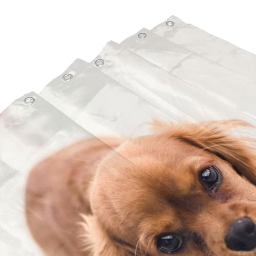 Rideau de douche imperméable chien pour décoration salle de bain tendance 183x183 cm - 5