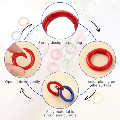 12 Stück Mini Karabinerhaken Runde Karabiner Schlüsselanhänger 2,4 cm Schlüsselring Metallring Mini Karabiner Schlüsselringe Klein Clip Ringe Haken für Schule Zuhause Oder Büro (12 Farben)