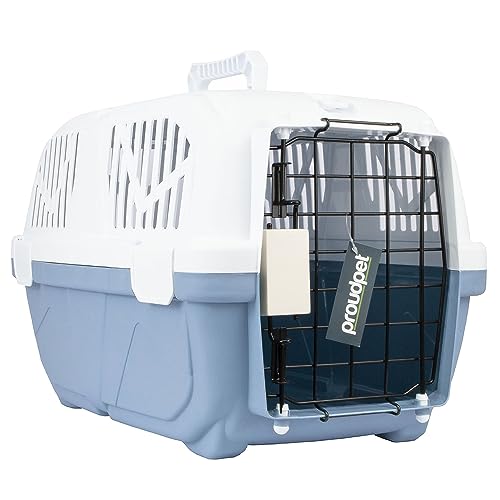 ProudPet Hard Pet Carrier Crate Box for Cats and Dogs Travel Kennel Animal Box (Small, Blue)