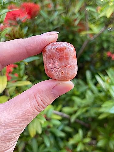Image of GAF TREASURES 1 /2 LB Sunstone Tumbled Stones, Polished Sunstone Gemstone, Sunstone Healing Crystals (Sunstone)