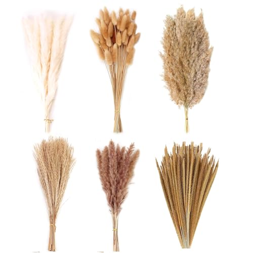 Decorazione Erba di Pampas Essiccata 123 PCS