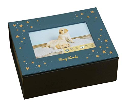 万丈 アルバムBOX100 L/ポスト判 星 220006 L/ポスト判100枚収納