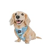 Sassy Woof Dog Adjustable Harness - Disney Princess Cinderella - XS, Breathable Mesh, No Pull Design with Two D-Rings, Perfect for Small Dogs and Puppies - Officially Licensed