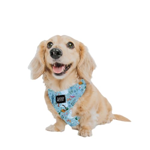 Sassy Woof Dog Adjustable Harness - Disney Princess Cinderella - XS, Breathable Mesh, No Pull Design with Two D-Rings, Perfect for Small Dogs and Puppies - Officially Licensed