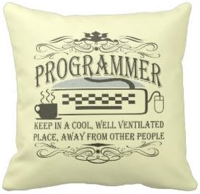 Derhamstore Funny Programmer Pillow