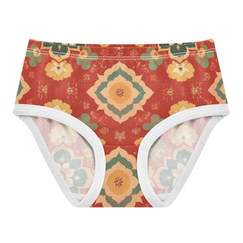 Geometric Flower Pattern Ar Daily Wear Girls' Panties Organic Underpants for Baby Girls in Sizes 2T,3T, 4T, 5T, 6Y and 8Y