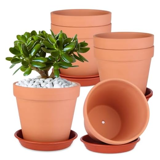Tuqaumu 6 Pack 6 Inch Terracotta & Clay Pots with Saucer for Plants, Large Terra Cotta Plant Pot with Drainage Hole, Flowerpot for Indoor Outdoor Plants, Crafts, Wedding Favor
